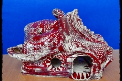 DSCN5014